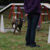 foire-haricots 2011-09-17et18
